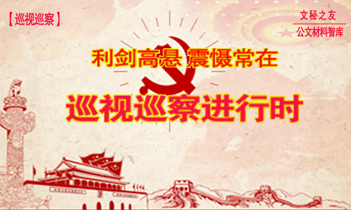 2020年巡察“回頭看”反饋問題整改情況報告f2020041306